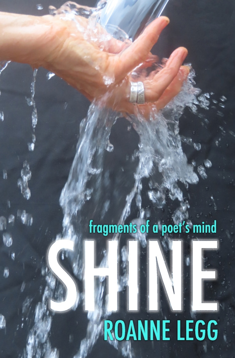 Kniha Shine Roanne Legg