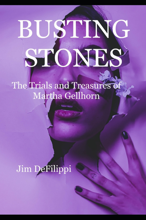Book BUSTING STONES Jim DeFilippi