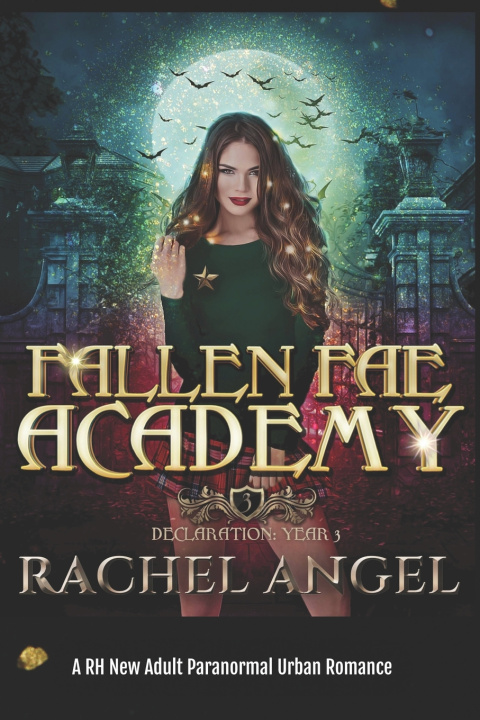 Kniha Declaration Year 3 Rachel Angel