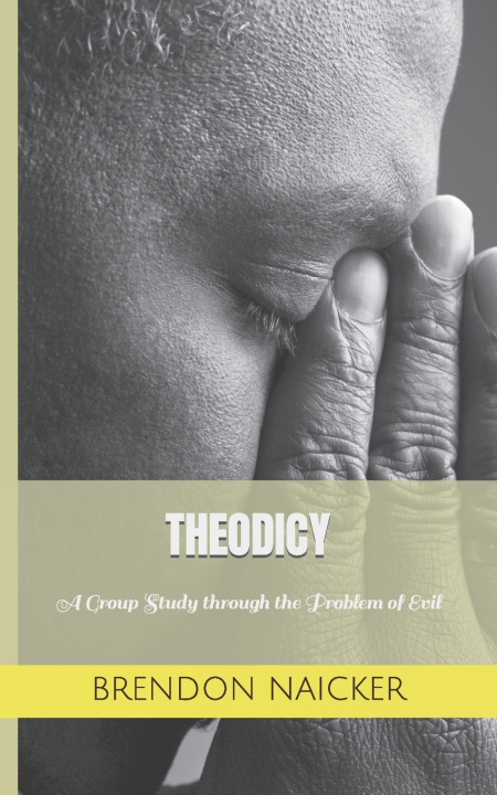 Kniha THEODICY Brendon Naicker