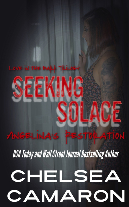 Kniha Seeking Solace Chelsea Camaron