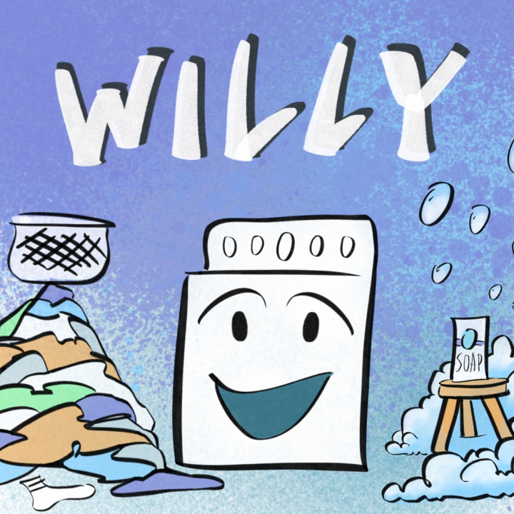 Kniha Willy Joanna Kettle
