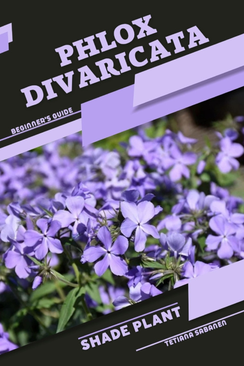 Kniha Phlox divaricata Tetiana Sabanen