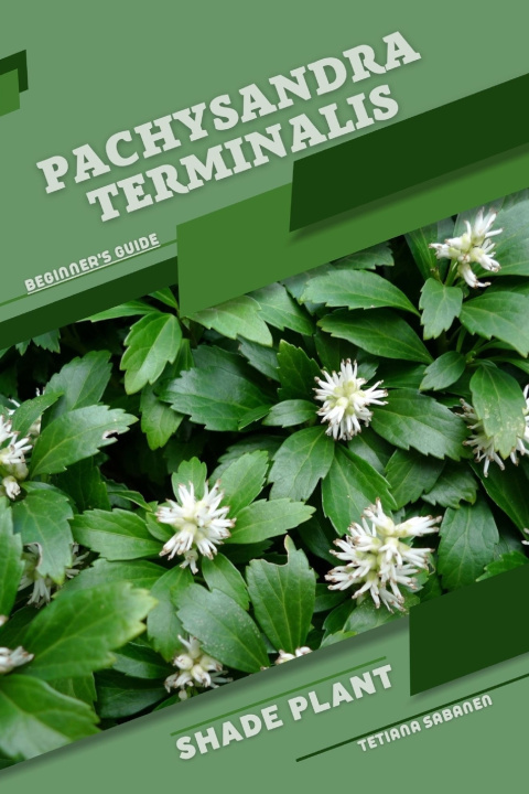 Boek Pachysandra terminalis Tetiana Sabanen