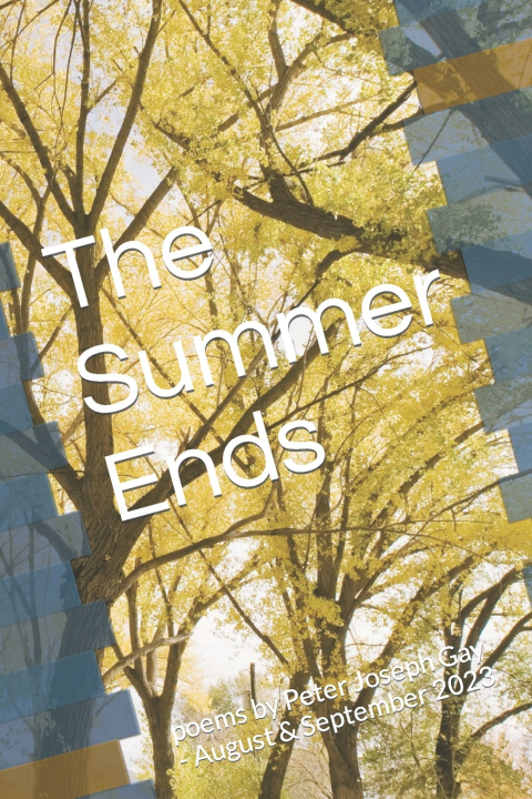 Knjiga The Summer Ends Peter Joseph Gay