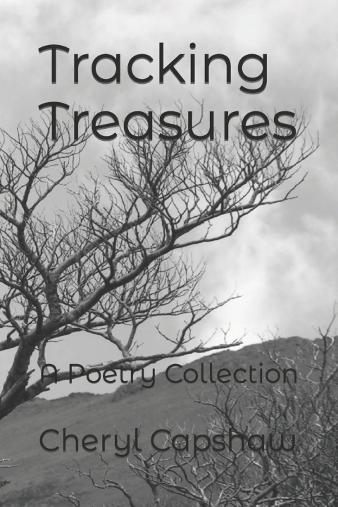 Knjiga Tracking Treasures Cheryl Capshaw