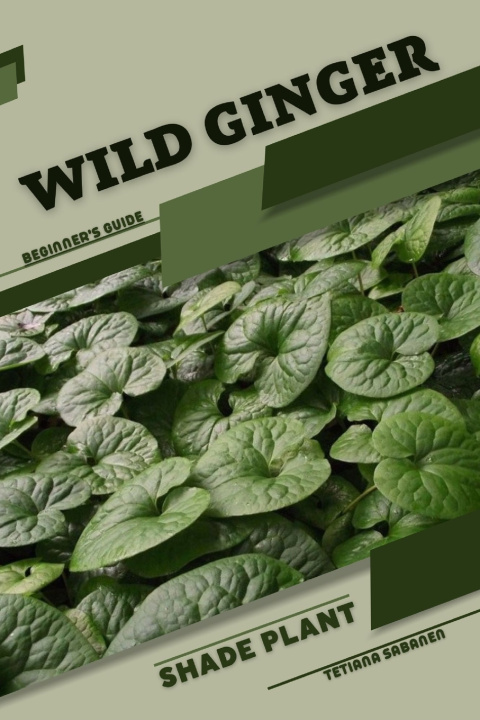 Kniha wild ginger Tetiana Sabanen