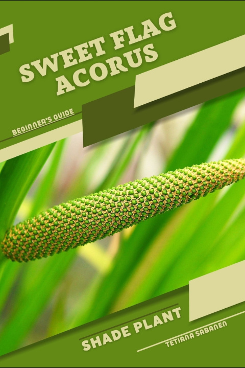 Kniha Sweet Flag Acorus Tetiana Sabanen