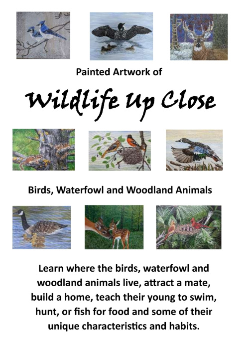 Knjiga Wildlife Up Close JOYCE WILKING