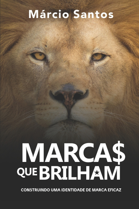 Kniha MARCAS QUE BRILHAM MÁRCIO SANTOS