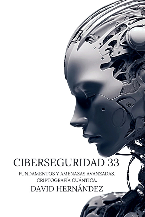 Könyv Ciberseguridad 33 David Hernández Recinas