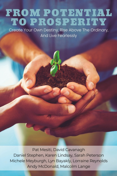 Knjiga From Potential To Prosperity David Cavanagh