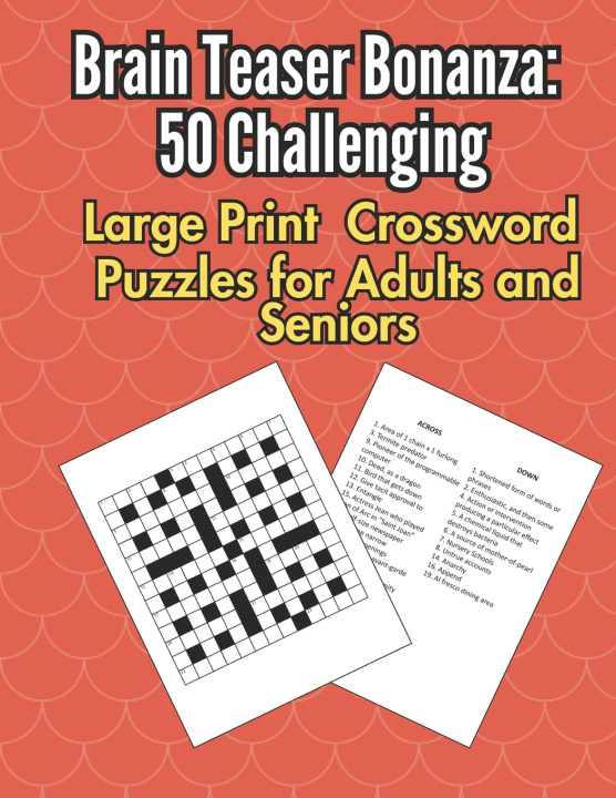 Knjiga Brain Teaser Bonanza RDG Publishing