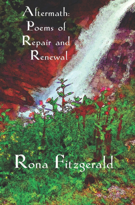 Kniha Aftermath Rona Fitzgerald