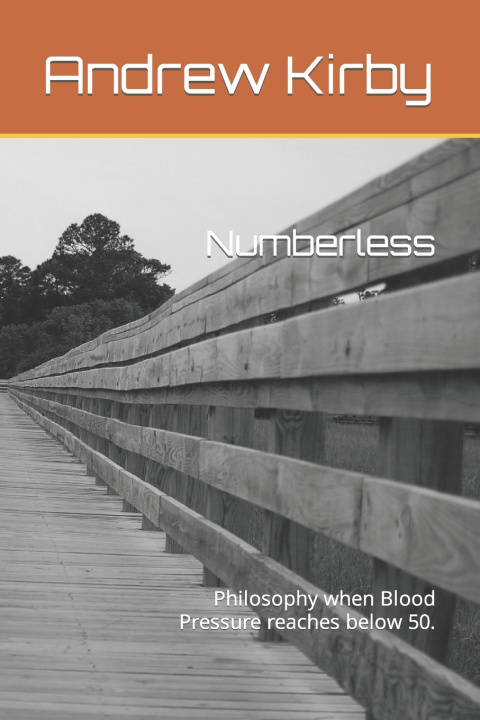 Knjiga Numberless Andrew Kirby