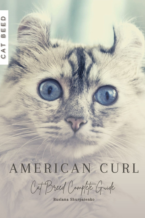 Kniha American Curl Ruslana Shurpatenko