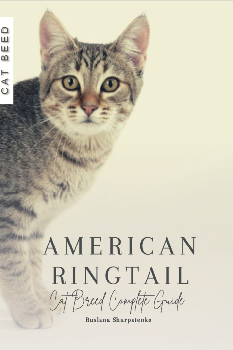 Kniha American Ringtail Ruslana Shurpatenko
