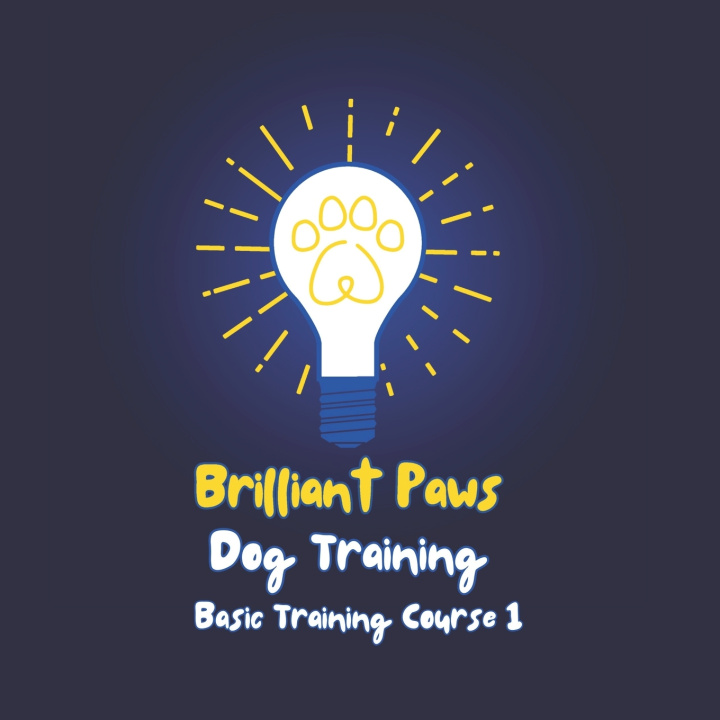 Kniha Brilliant Paws Dog Training Basic Training Course 1 Gabrielle Skeen