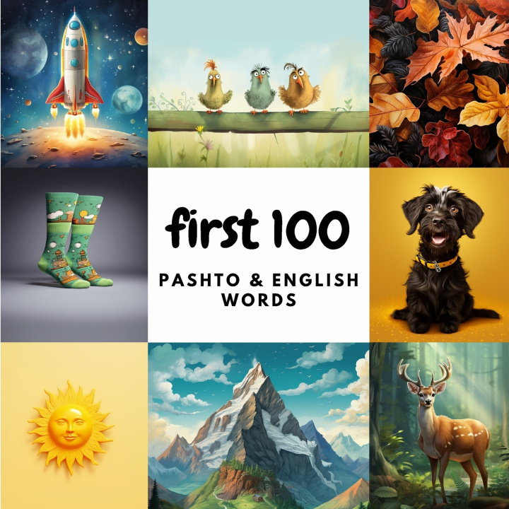 Knjiga First 100 Pashto & English Words Aisling Heidary
