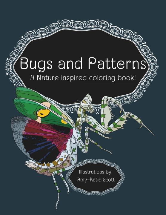 Kniha Bugs and Patterns Amy-Katie Scott