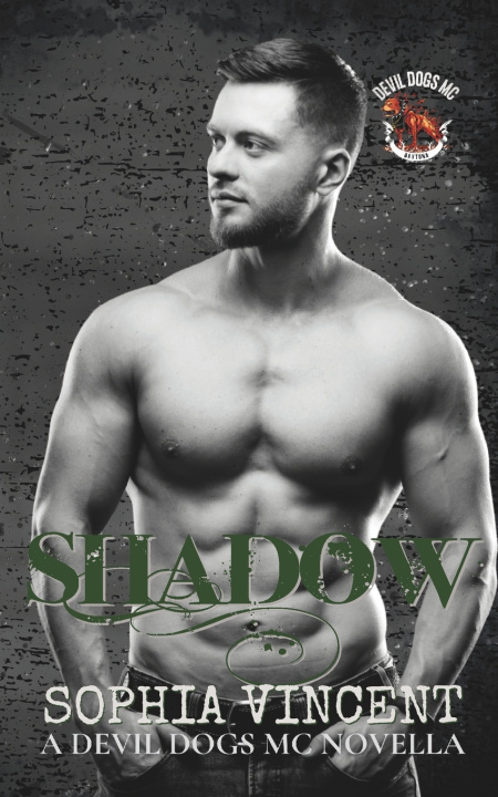 Kniha Shadow Sophia Vincent