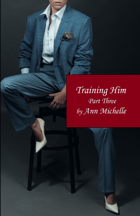 Kniha Training Him Ann Michelle