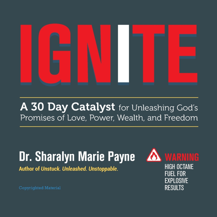 Kniha Ignite Sharalyn Payne