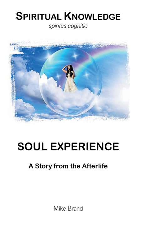Kniha Soul Experience Mike Brand