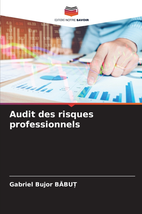 Kniha Audit des risques professionnels Gabriel Bujor BĂBUȚ