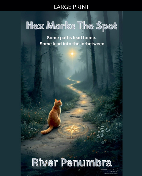 Kniha Hex Marks The Spot River Penumbra