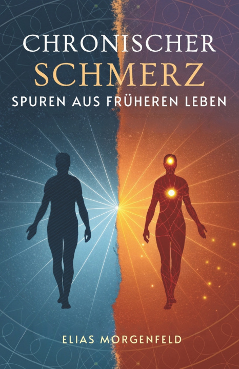 Knjiga Chronischer Schmerz Elias Morgenfeld