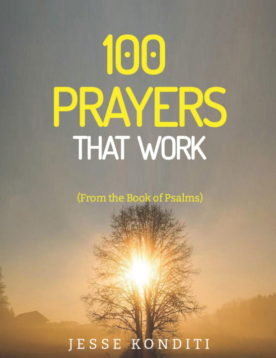 Kniha Prayers That Work Jesse Konditi