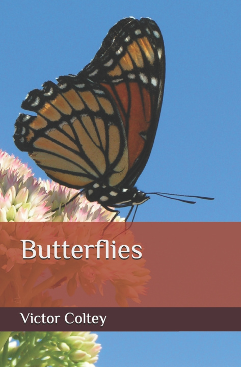 Kniha Butterflies Victor Coltey