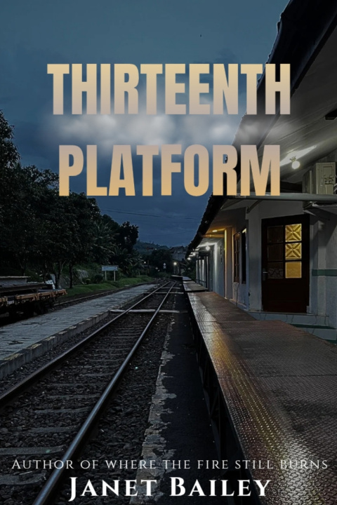 Kniha Thirteenth Platform Janet Bailey