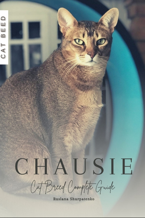 Kniha Chausie Ruslana Shurpatenko