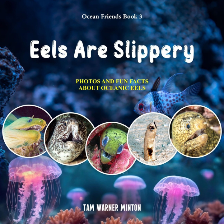 Kniha Eels are Slippery Tam Warner Minton