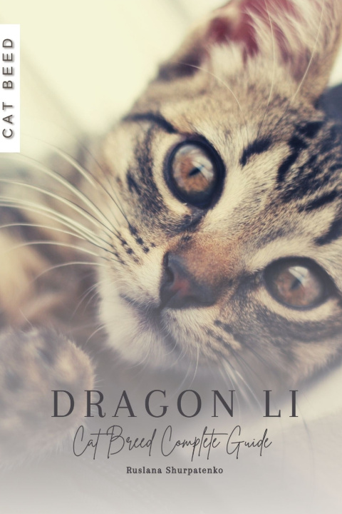 Kniha Dragon Li Ruslana Shurpatenko