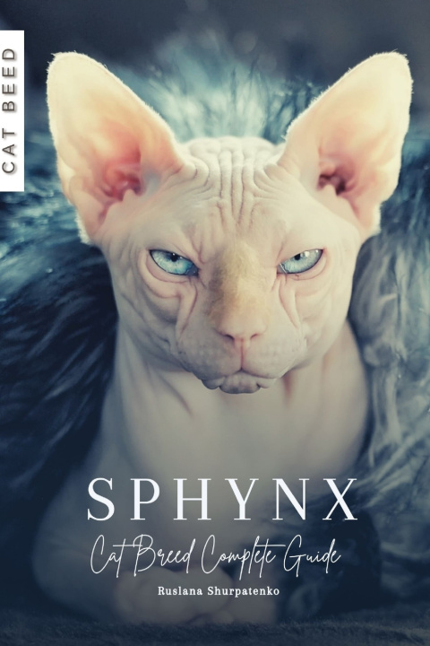 Kniha Sphynx Ruslana Shurpatenko