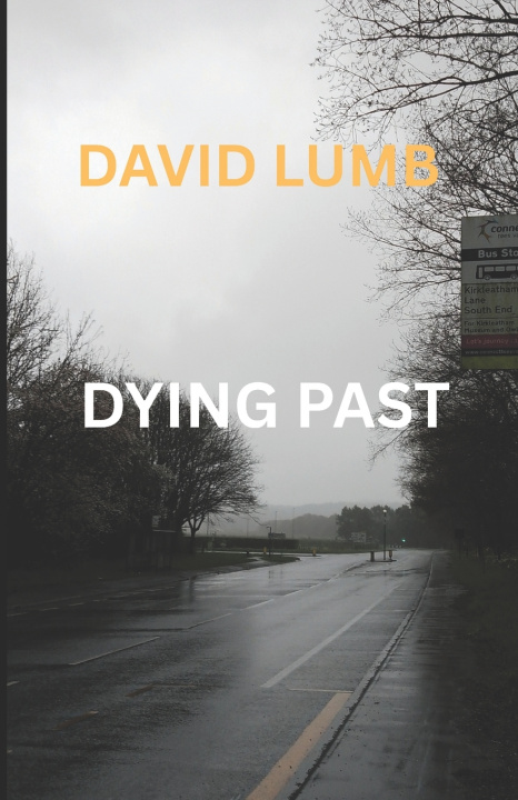Kniha Dying Past David Lumb