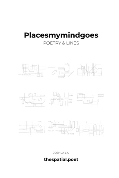 Kniha placesmymindgoes Liu