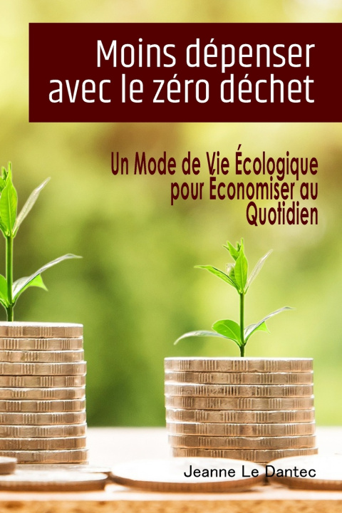 Kniha Moins dépenser avec le zéro déchet Jeanne Le Dantec