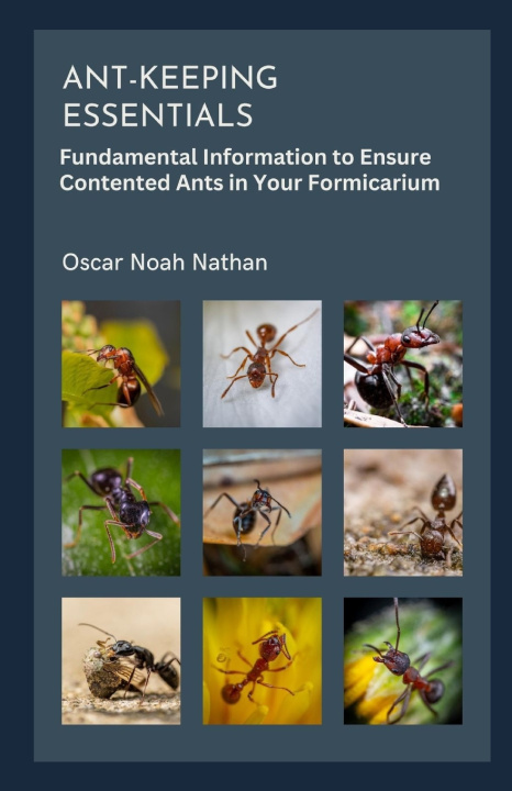 Kniha Ant-keeping Essentials OSCAR NOAH NATHAN