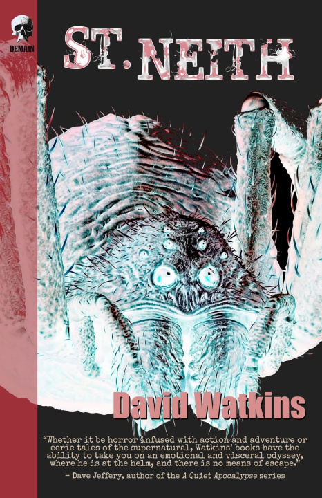Kniha St Neith David Watkins
