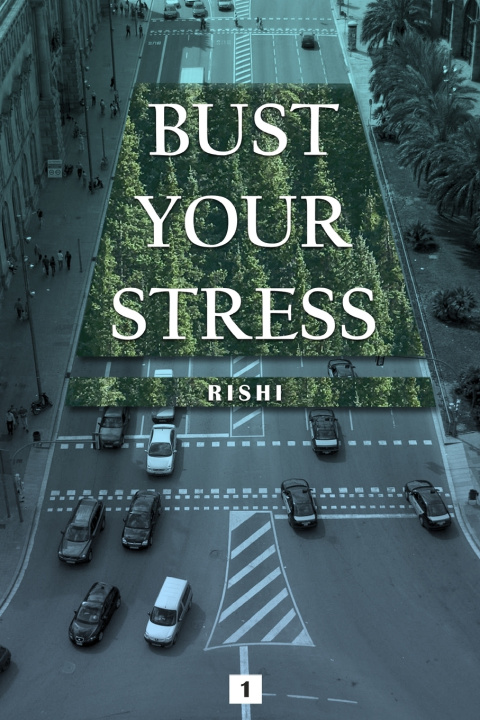 Kniha Bust Your Stress Rishi Dev