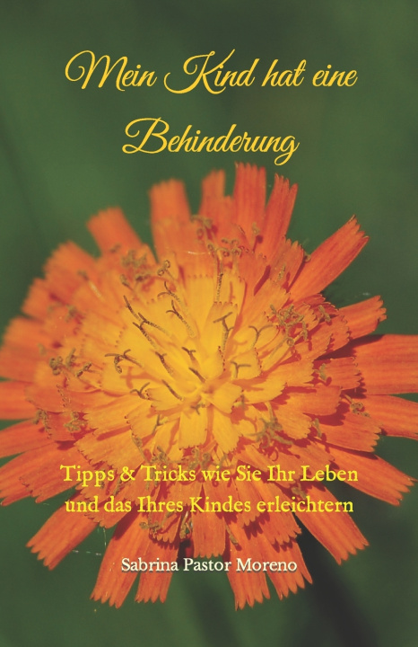 Kniha Mein Kind hat eine Behinderung Sabrina Pastor-Moreno