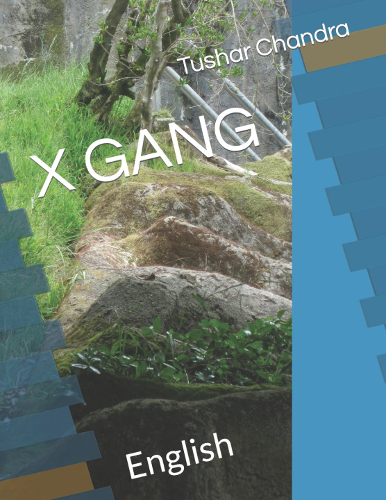 Knjiga X GANG Tushar Chandra