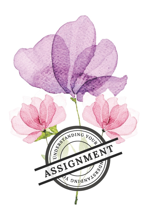 Kniha Understanding Your Assignment Knakita Jones