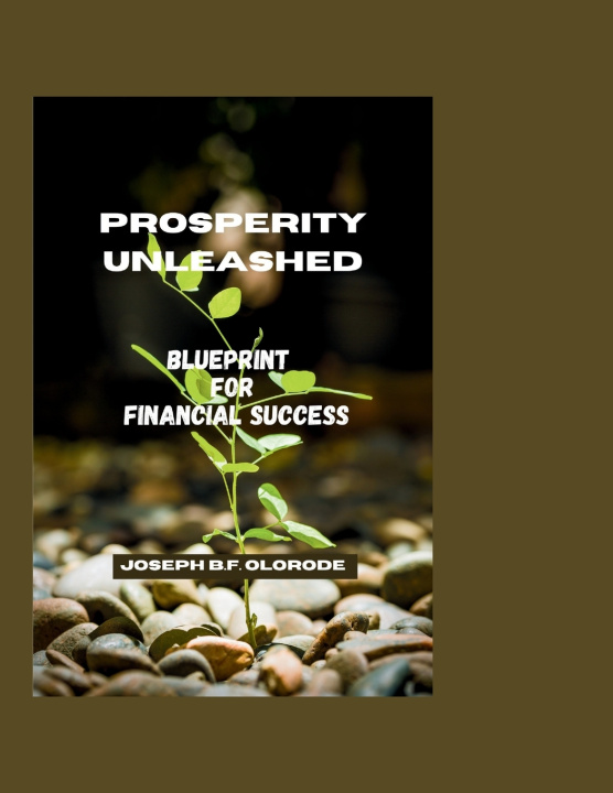 Kniha PROSPERITY UNLEASHED JOSEPH B. F OLORODE