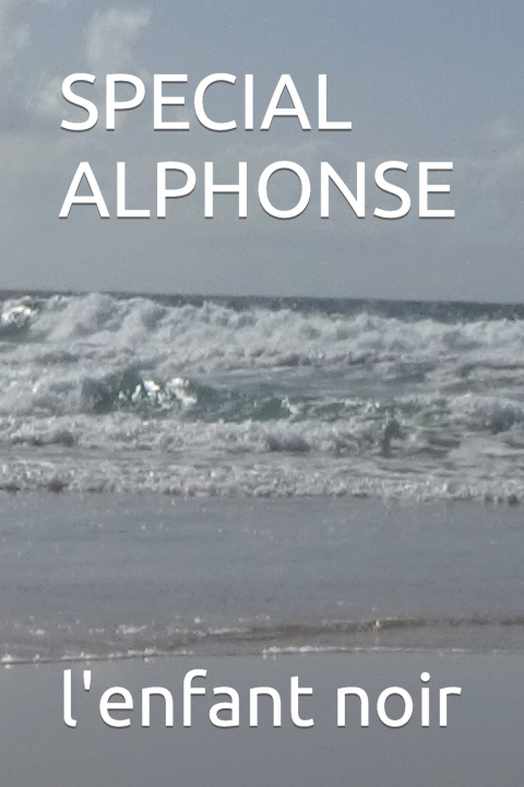 Kniha SPECIAL ALPHONSE sebastien coudrin