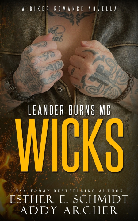 Knjiga Leander Burns MC Esther E. Schmidt